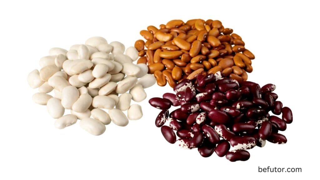 Beans and Legumes