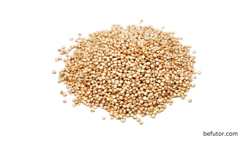 Quinoa